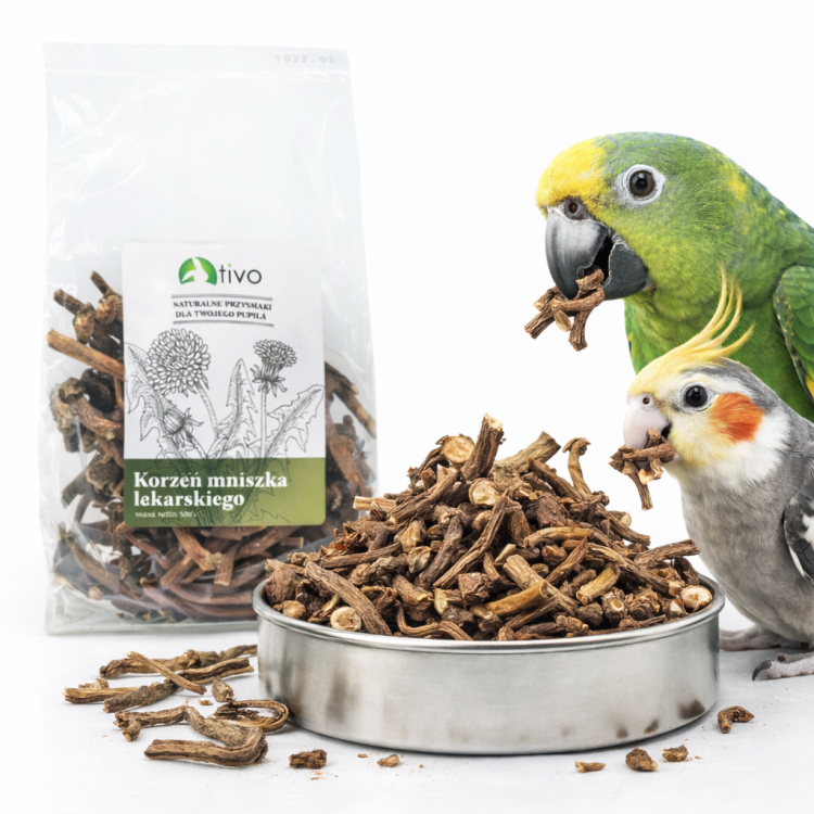 TIVO Korzeń mniszka dla papug – naturalny dodatek roślinny | 100 g od ParrotPlanet.pl