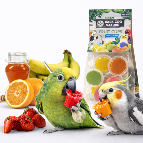 Gelées pour perroquets – assortiment de saveurs, 6 pièces ParrotPlanet.fr