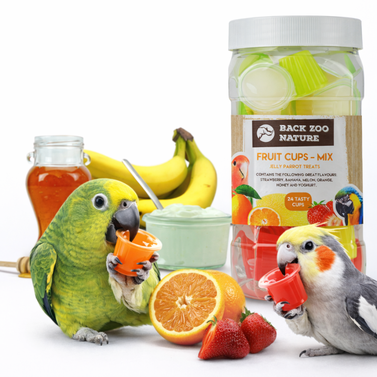 Gelées pour perroquets, assortiment de saveurs – 24 coupelles ParrotPlanet.fr