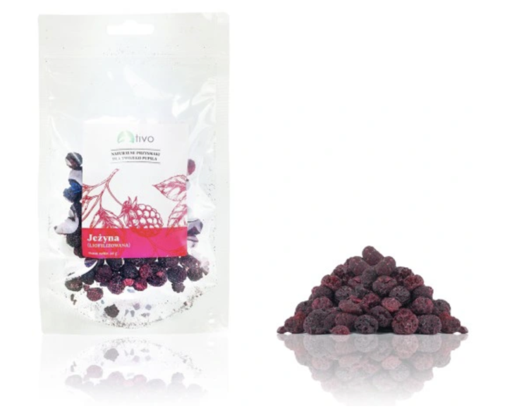 Mûre lyophilisée croustillante pour rongeurs – friandise naturelle aux fruits | 20 g de ParrotPlanet.fr