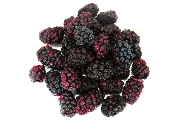Mûre lyophilisée croustillante pour rongeurs – friandise naturelle aux fruits | 20 g de ParrotPlanet.fr