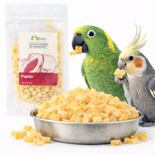 Chrupiąca papaja liofilizowana dla papug – naturalny przysmak owocowy | 20 g od ParrotPlanet.pl