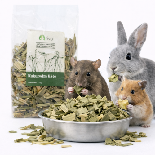 Feuilles de maïs pour rongeurs – complément végétal naturel | 120 g de ParrotPlanet.fr