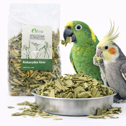 Liść kukurydzy dla papug – naturalny dodatek roślinny | 120 g od ParrotPlanet.pl