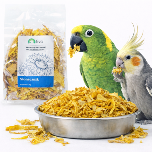 Płatki słonecznika dla papug – naturalny dodatek kwiatowy | 30 g od ParrotPlanet.pl