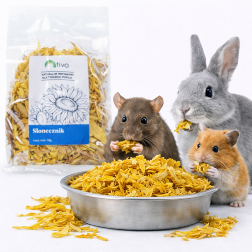 Pétales de tournesol pour rongeurs – complément floral naturel | 30 g de ParrotPlanet.fr