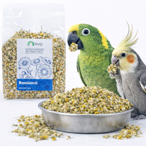 TIVO Kwiatki rumianku dla papug – naturalny dodatek kwiatowy | 100 g od ParrotPlanet.pl