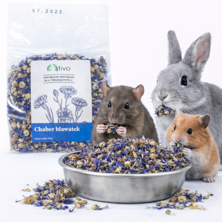 Pétales de bleuet (centaurée) pour rongeurs – complément floral naturel | 60 g de ParrotPlanet.fr