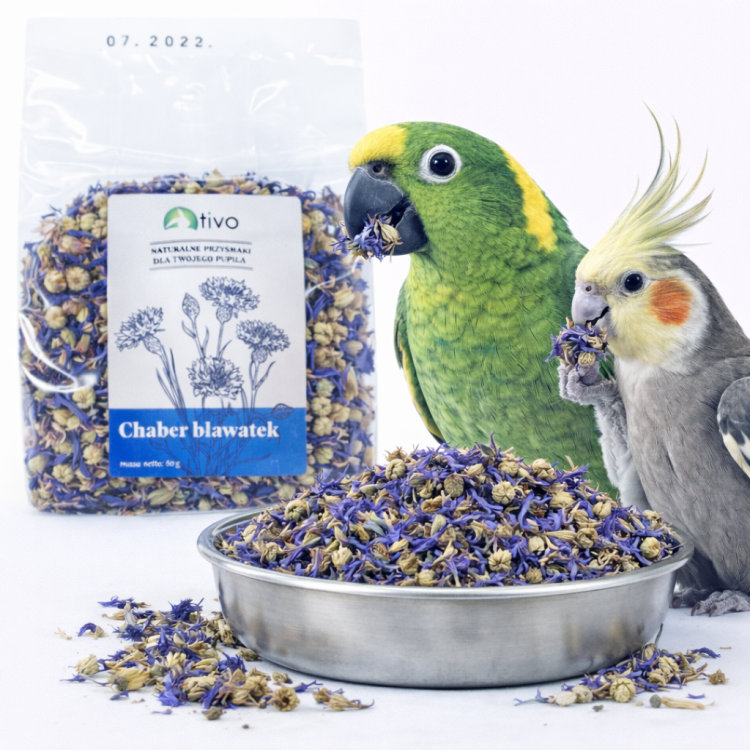 Płatki bławatka (chaber) dla papug – naturalny dodatek kwiatowy | 60 g  od parrotPlanet.pl