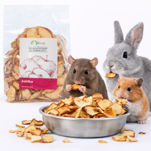 Pomme croustillante pour rongeurs – friandise fruitée naturelle | 100 g de ParrotPlanet.fr