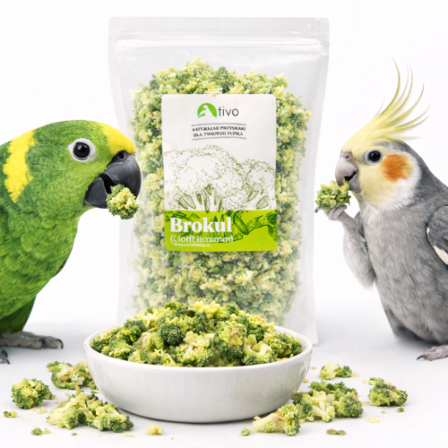Chrupiący brokuł dla papug – naturalny dodatek warzywny | 20 g od ParrotPlanet.pl