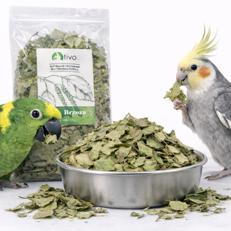 TIVO Liście brzozy dla papug – naturalny dodatek roślinny | 150 g od ParrotPlanet.pl