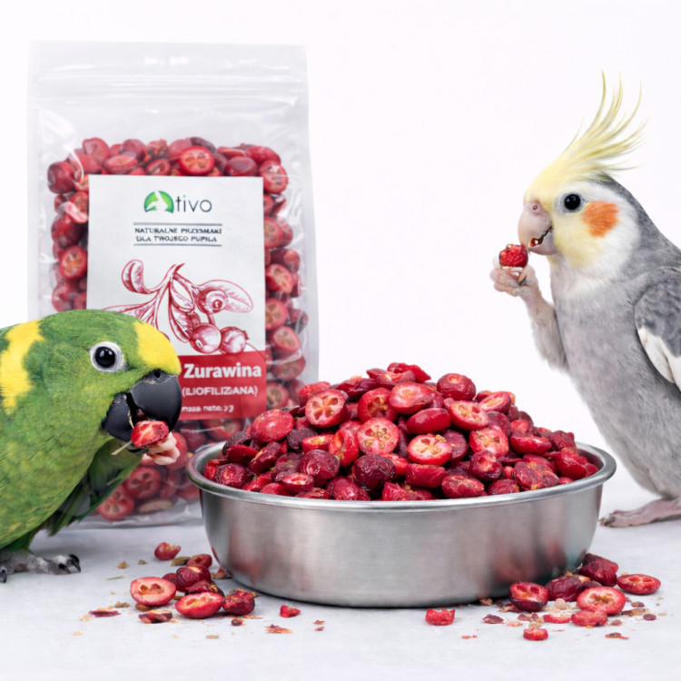 Chrupiąca żurawina liofilizowana dla papug – naturalny przysmak owocowy | 20 g od ParrotPlanet.pl