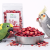 Chrupiąca żurawina liofilizowana dla papug – naturalny przysmak owocowy | 20 g od ParrotPlanet.pl