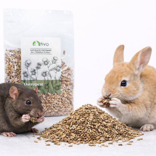 TIVO Chardon-Marie pour rongeurs 100 g – complément végétal naturel de ParrotPlanet.fr