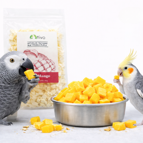 Chrupiące mango liofilizowane dla papug – naturalny przysmak owocowy | 20 g od  ParrotPlanet.pl