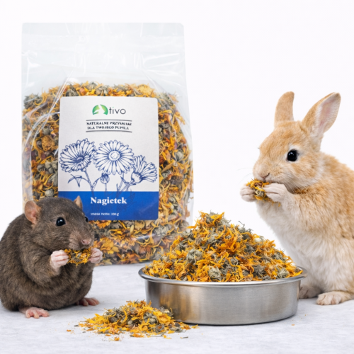 Fleurs de calendula pour rongeurs – complément floral naturel | 100 g de ParrotPlanet.fr