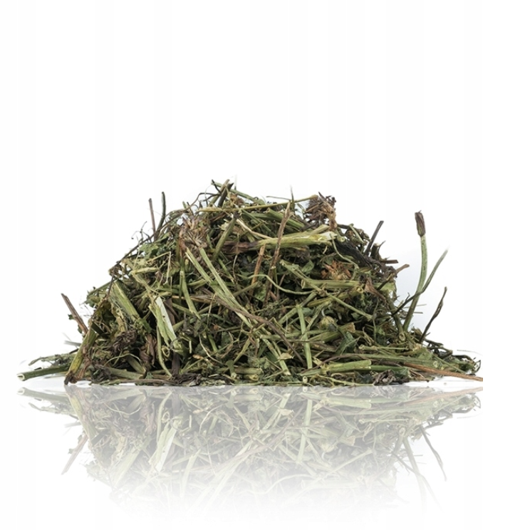 Trèfle pour rongeurs – complément végétal naturel | 120 g de ParrotPlanet.fr