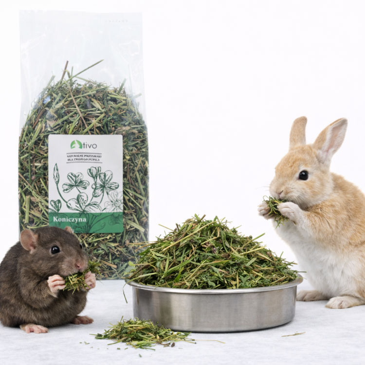 Trèfle pour rongeurs – complément végétal naturel | 120 g de ParrotPlanet.fr