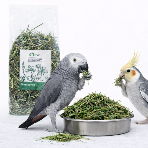 Koniczyna dla papug – naturalny dodatek roślinny | 120 g  od ParrotPlanet.pl