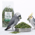 Koniczyna dla papug – naturalny dodatek roślinny | 120 g  od ParrotPlanet.pl