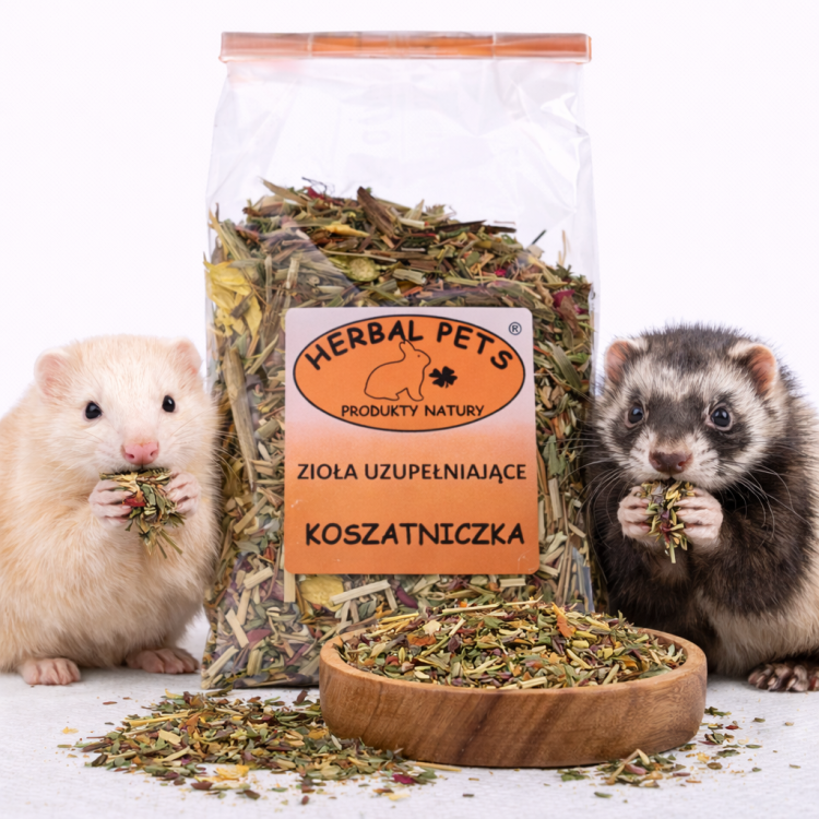 Mélange d’Herbes Complémentaires pour Octodon – Soutien Naturel à la Santé | 100 g de ParrotPlanet.fr