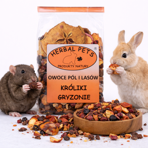 Mélange de Fruits Sauvages et Cultivés pour Rongeurs et Lapins - 100g de ParrotPlanet.fr