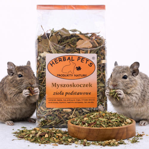 Herbes Vitalité pour Gerbilles – Mélange Naturel pour Santé et Immunité | 100 g de  parrotPlanet.fr