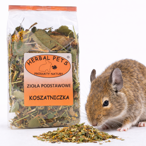 Mélange d’herbes essentielles pour octodons – santé et bien-être au naturel 100g  de ParrotPlanet.fr