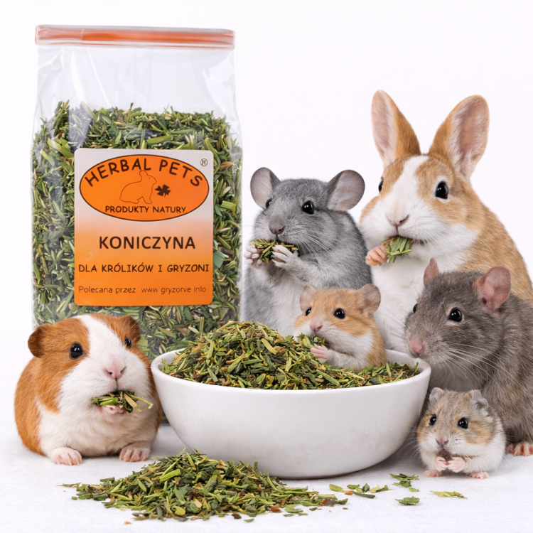 Trèfle Séché pour Animaux – Soutien Digestif et Bien-Être | 80 g | ParrotPlanet.fr