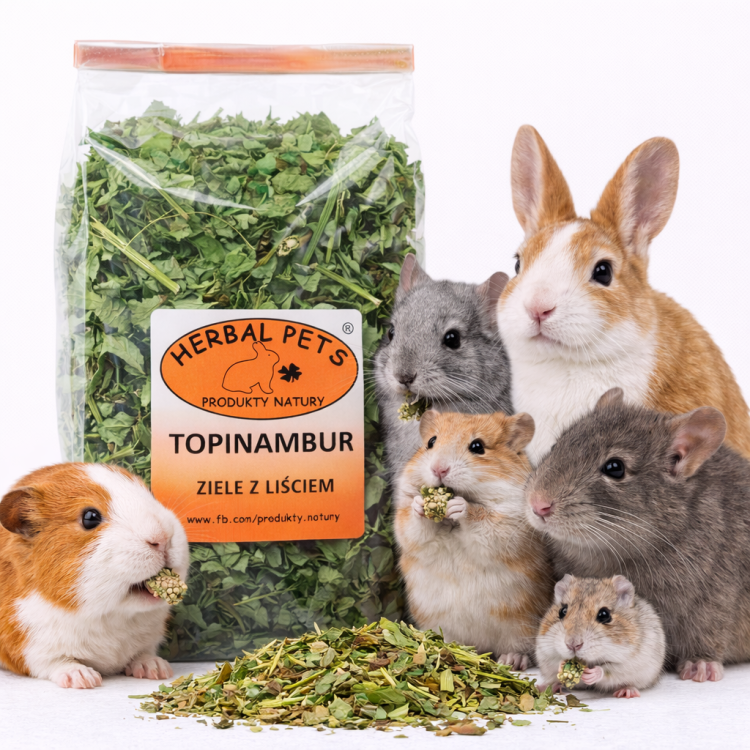 Feuilles et tiges de topinambour – Support naturel pour la digestion des rongeurs | 70 g | ParrotPlanet.fr
