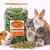 Feuilles et tiges de topinambour – Support naturel pour la digestion des rongeurs | 70 g | ParrotPlanet.fr