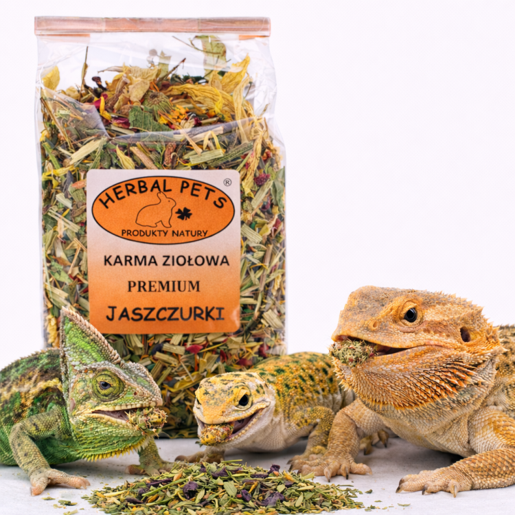 Mélange Premium Reptile Parrot Planet – Soins et Santé | 70 g  | ParrotPlanet.fr