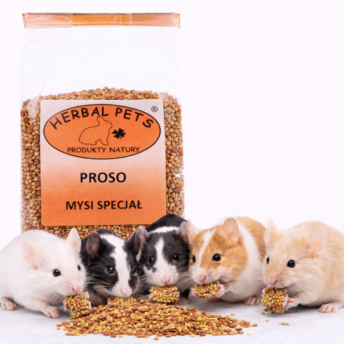 Délice Rongeur Proso Naturel pour Souris – Friandise Nutritive et Saine | 150 g | ParrotPlanet.fr
