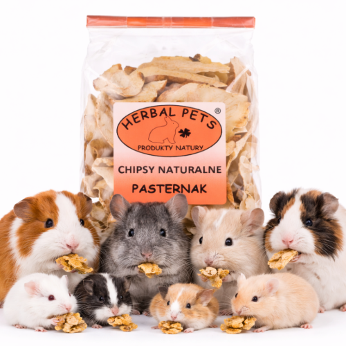Chips de Panais Naturels – Snack Sain pour Lapins et Rongeurs | 125 g | ParrotPlanet.fr