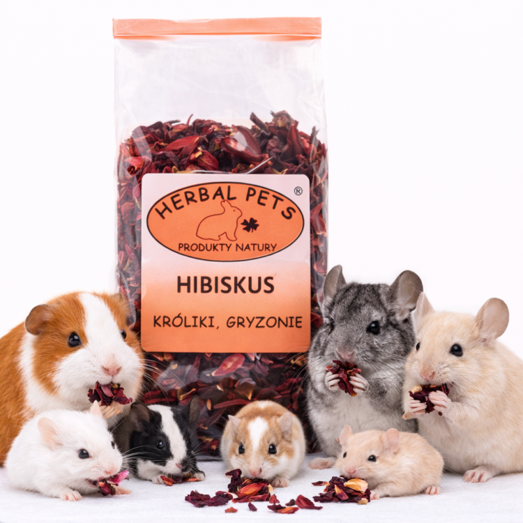 Hibiscus Naturel pour Lapins et Rongeurs - Soutien Immunitaire 60g de ParrotPlanet.fr