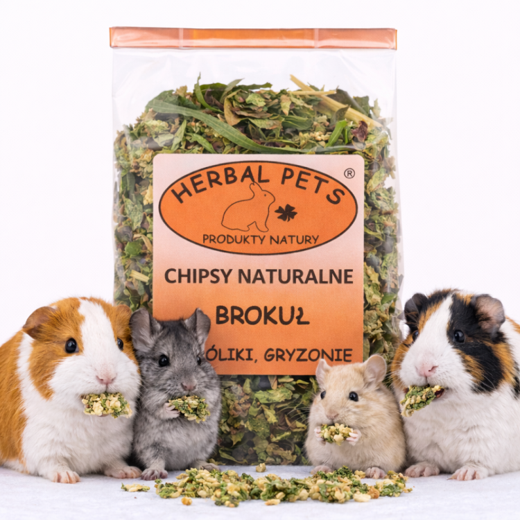 Chips de Brocoli Naturels - Snack Sain et Nourrissant pour Animaux 50g de ParrotPlanet.fr