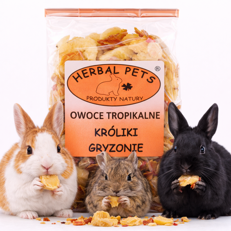 Snack naturel aux fruits tropicaux pour lapins et rongeurs - 75g  de  Parrotplanet.fr