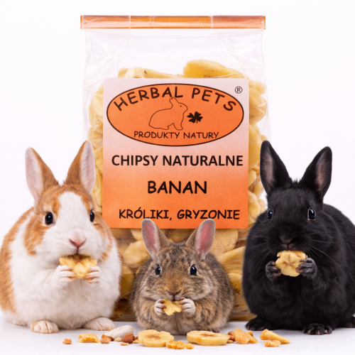 Chipsy Banane Naturels - Snack Nutritif Délicieux pour Rongeurs et Lapins 75g de ParrotPlanet.fr