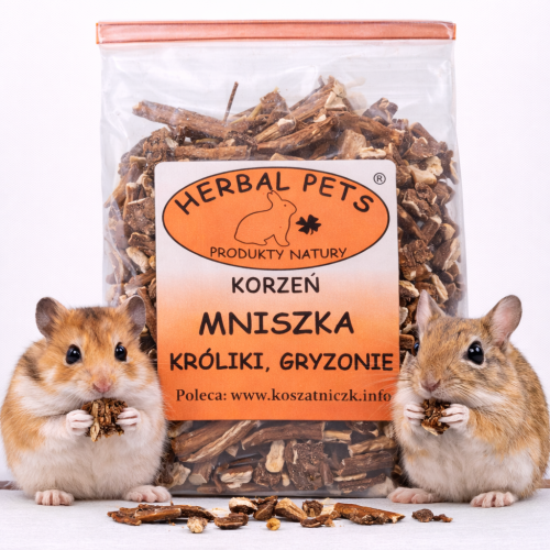 Racine de pissenlit séchée – Soutien naturel pour la digestion et le bien-être des petits animaux 100g  de ParrotPlanet.fr