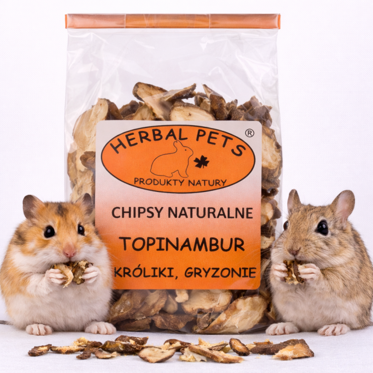 Chips de Topinambour Naturels - Friandise Saine pour Lapins et Rongeurs 75g de ParrotPlanet.fr