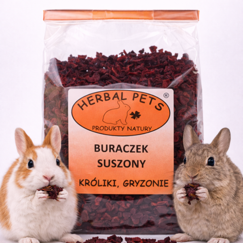 Betterave Séchée pour Rongeurs et Lapins – Snack Naturel et Nutritif | 125 g de  ParrotPlanet.fr
