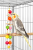 Jouet Chaîne Coloré avec Clochettes pour Perroquets – Jouet d’Activation pour Cage de ParrotPlanet.fr