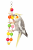 Jouet Chaîne Coloré avec Clochettes pour Perroquets – Jouet d’Activation pour Cage de ParrotPlanet.fr