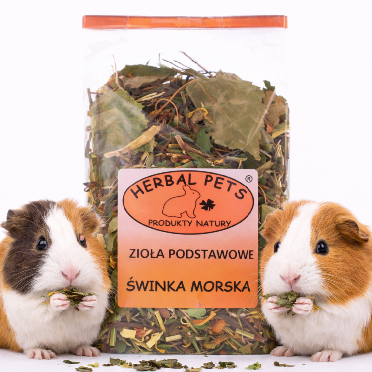 Herbes essentielles pour cochons d'Inde - soutien naturel à la santé 100g de ParrotPlanet.fr