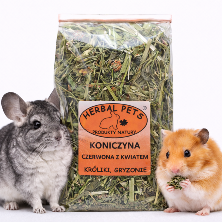 Trèfle Rouge avec Fleurs – Digestion Naturelle des Rongeurs | 80 g | ParrotPlanet.fr