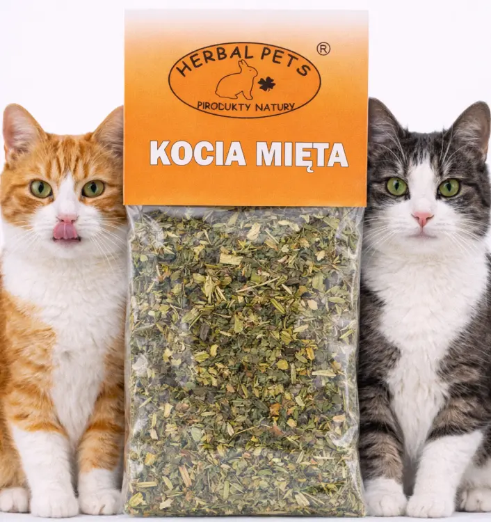 Herbe à Chat Parrot Planet – Stimulation Naturelle pour Chats de ParrotPlanet.fr