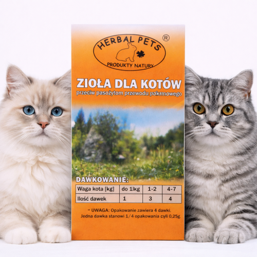 Herbes Naturelles Antiparasitaires pour Chats - Protection Digestive de ParrotPlanet.fr