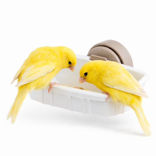 Distributeur Alimentaire Portabiscotto – Parrot Planet.fr
