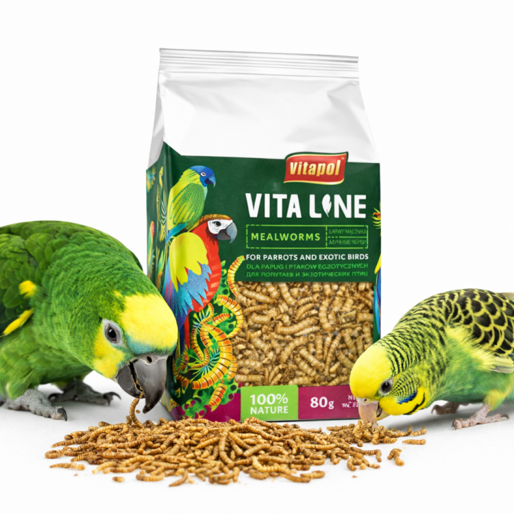 Vitapol VITALINE - Larwy mącznika dla wszystkich papug 80g od ParrotPlanet.pl